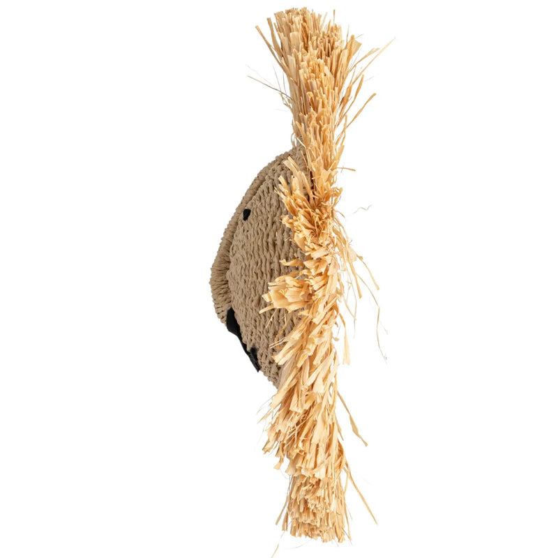 Dried Raffia Lion Head Wall Décor